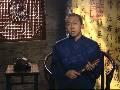 书画视频-回顾画坛前辈王个簃的艺术人生