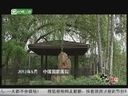 书画视频-国画艺术家 贾广健 书画中国