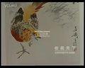 书画视频-李砚强做客收藏天下谈花鸟画大师—王雪涛（二