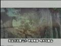 书画视频-二十世纪中国文化名人：张大千（上）