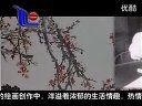 书画视频-花鸟画大师诸乐三