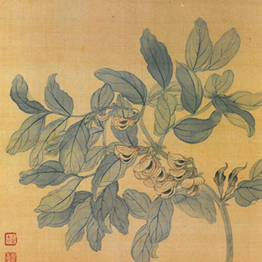 蚕豆花图页出水芙蓉春风蝴蝶等作品集1 恽寿平 清代 