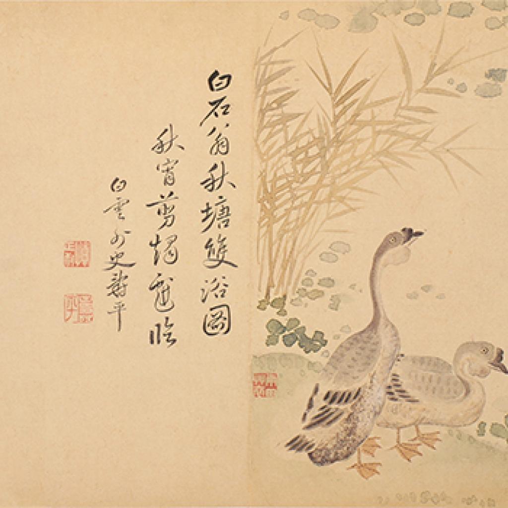 秋塘双浴洒金玉兰深山积雪等作品集3 恽寿平 清代 秋塘双浴洒金玉兰深山积雪等作品集3 恽寿平 清代
