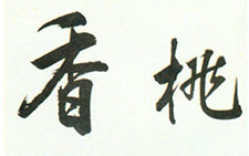 行书五言语轴 陈元素 明代 