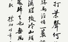 苏轼词一首 赵朴初 当代 