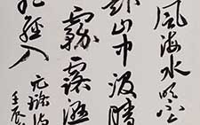 草书倪元璐诗轴 朱友舟 当代 