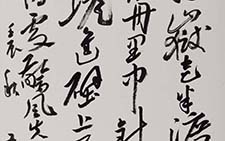章草立幅 朱友舟 当代 