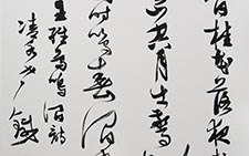 行草斗方王维鸟鸣涧 魏哲 当代 