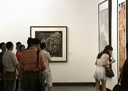 书画视频-“水墨家园”李小可画展在粤展出