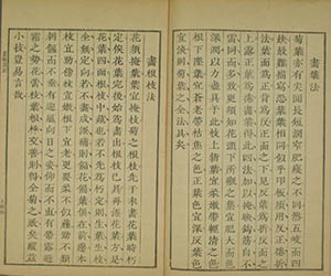康熙刻本芥子园画谱第八册 