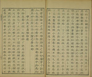 康熙刻本芥子园画谱第六册 