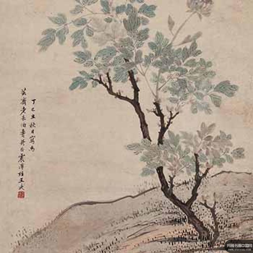 紫牡丹等作品集 王武 清代 