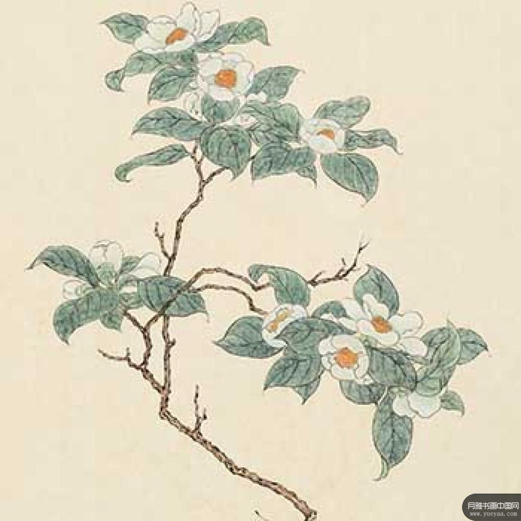 国画花等作品集 溥儒 清代 