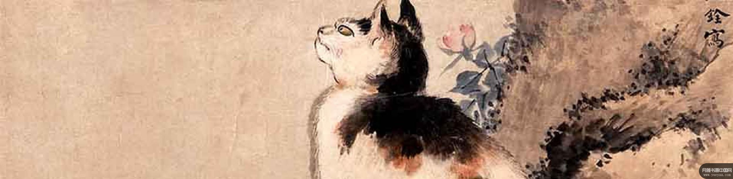 花猫花鸟山景等作品集 沈铨 清代 