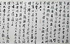 东坡居士题跋 李明 当代（2009年作）