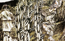 秋风（一）孔紫 当代 68.68cm1992