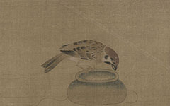 书画图文-驯禽俯啄图页 佚名 宋代 故宫博物院藏 最清晰版