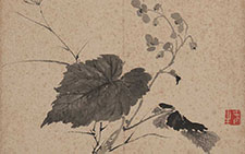 书画图文-花卉图2 张敔 清代 旅顺博物馆
