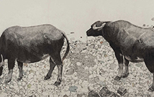 牛 杜大恺 当代 145×360cm 2013