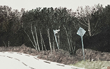异域行—爱尔兰4 杜大恺 当代 65×95cm 2013