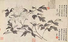 书画图文-牡丹图卷 王渊 元代 纸本29.5x128