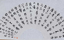 吾丘衍诗二首扇面 龙友 当代 30×63cm 2013年
