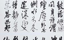 书法作品1 龙友 当代