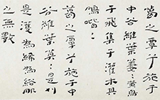 《诗?国风?周南?葛覃》 杜萌若 当代 100cm×35cm