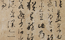 东坡题跋 李明 当代