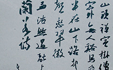 书法作品1 金泽珊 当代