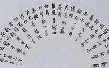 竹房先生诗扇面 龙友 当代 30×63cm 2013年