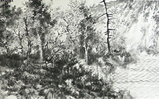 八荒竞色 付熙云 当代 137X34CM2008年