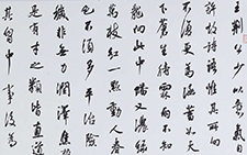 《石林诗话》一则 龙友 当代 34×120cm 2013年