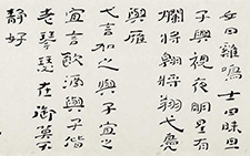 《诗?国风?郑风?女曰鸡鸣》 杜萌若 当代 100cm×35cm