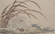 书画图文-水墨图册 金农 清代 纽约大都会艺术馆藏