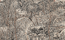 国画作品43 计建清 当代
