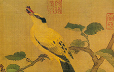 书画图文-桑果山鸟图 佚名 宋代 25.2X26.4