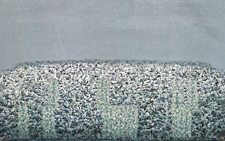 静观八荒 270x136 卢禹舜 当代