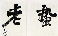 蛰龙三冬卧 老鹤万里心 胡秋萍 当代