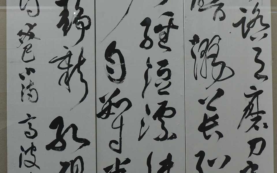 2013中国美院毕业展书法作品高清