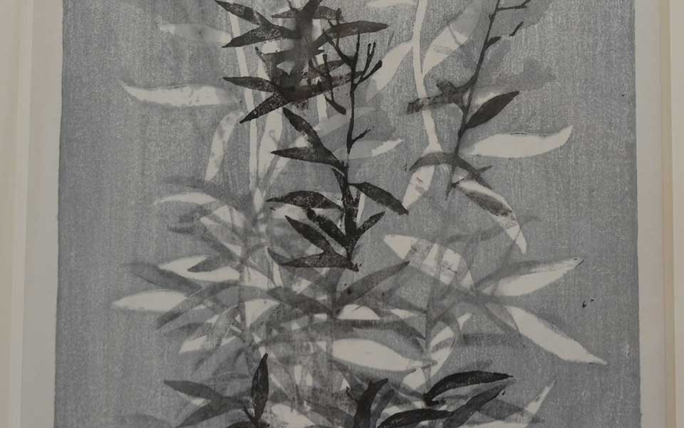 2013中国美院毕业展版画作品高清