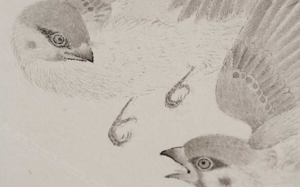 2013天津美院毕业展国画作品（局部展示）059高清