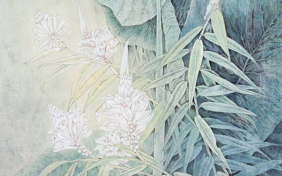 崔志凌高清