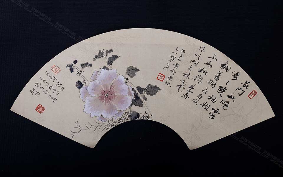 蜀葵花扇面高清_蜀葵花扇面朱乒乓高清_朱乒乓蜀葵花扇面高清_朱乒乓_当代