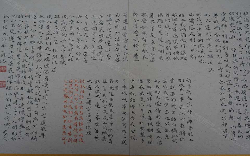 湖北美院毕业展作品46高清
