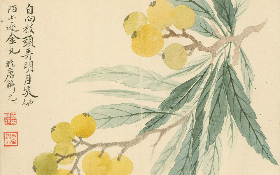 花卉册7高清_恽寿平花卉册7高清_花卉册7恽寿平高清_恽寿平_清代