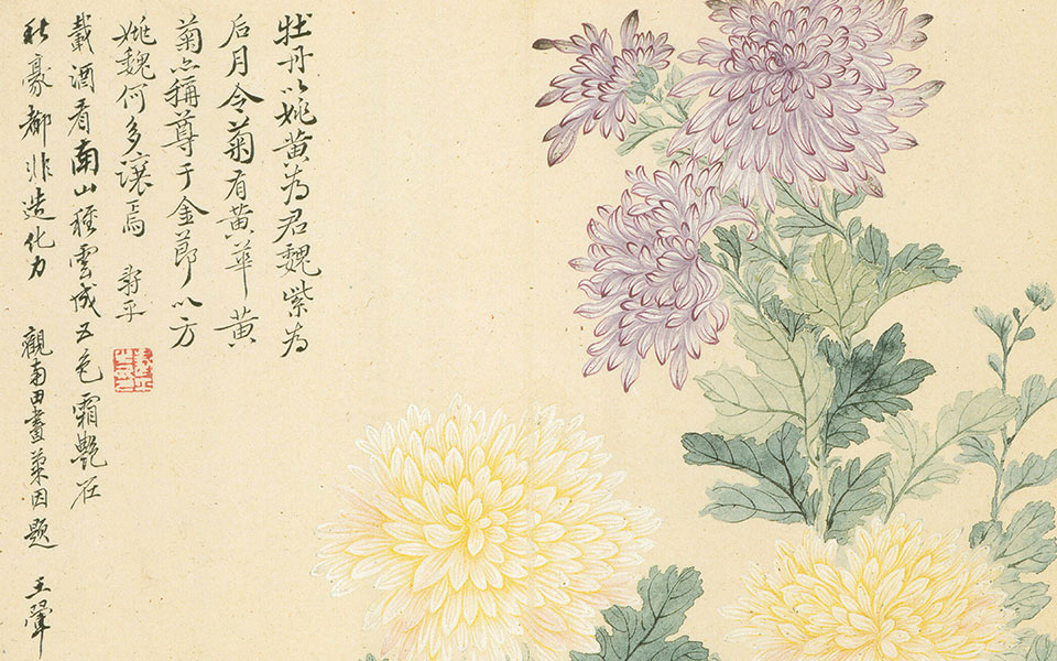 花卉册4高清_恽寿平花卉册4高清_花卉册4恽寿平高清_恽寿平_清代