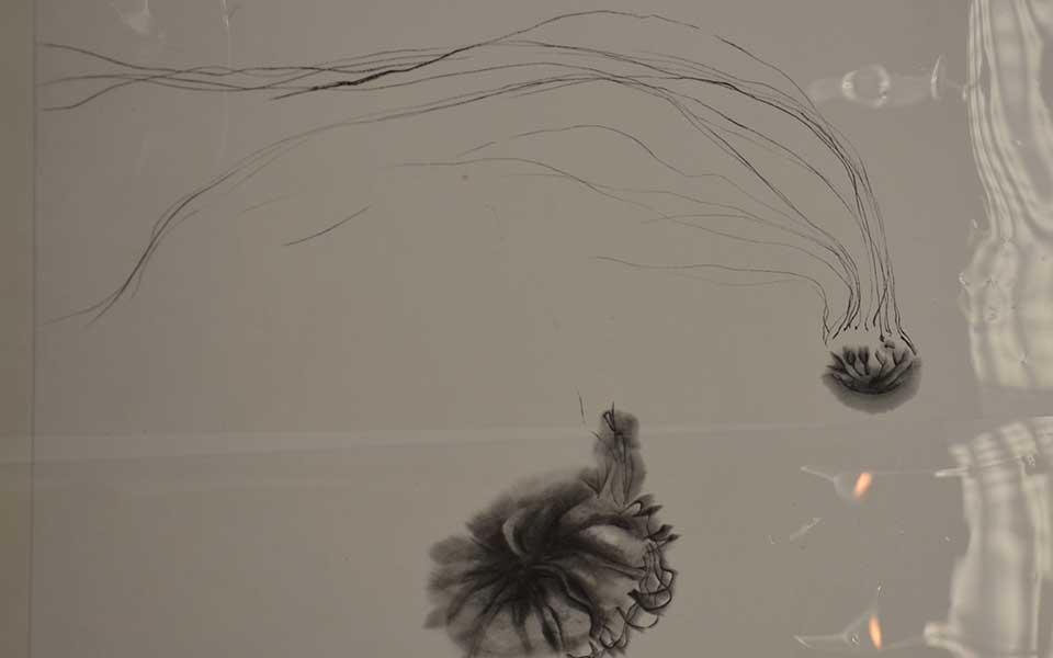 2013中国美院毕业展版画作品高清