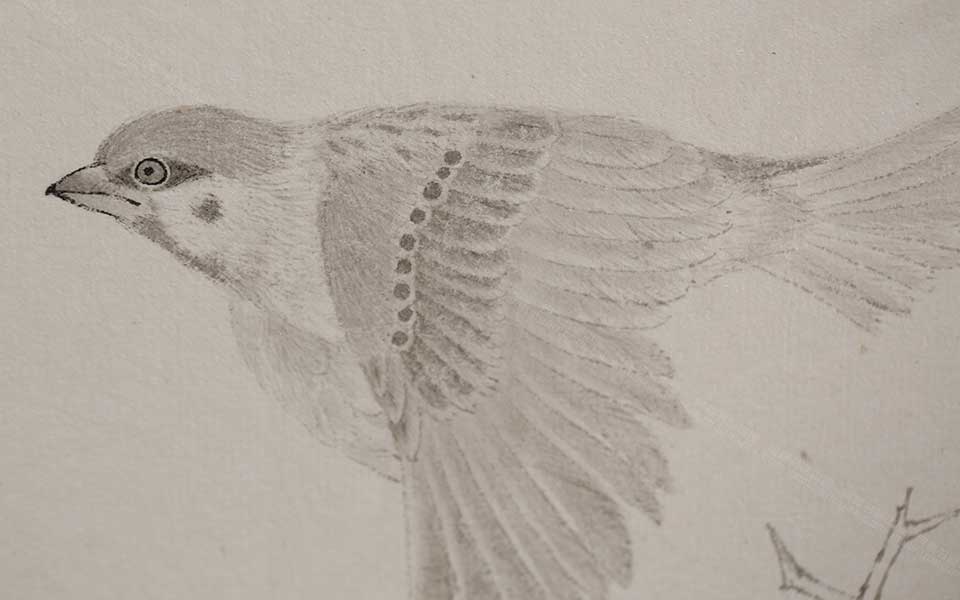 2013天津美院毕业展国画作品（局部展示）058高清
