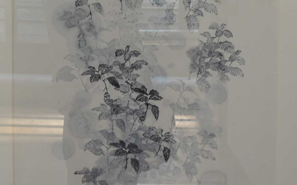 2013中国美院毕业展版画作品高清